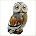 Emerald Spotted Owl