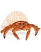 Safari Incredible Creatures: Hermit Crab