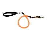 Best Price EZ Steps Low Impact Shock Absorbing Leash for Dog up to 125 lbs., Orange