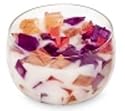 Primal Elements - Two Wick Color Bowl Candle (Vanilla Fig)