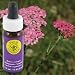Flower Essence Services Pink Yarrow 0.25 oz flower essence