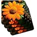 Sunshine Mexican Sunflower Flower Photography - Set Of 4 Coasters - Soft