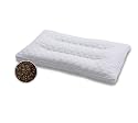 Buckwheat Healthy Pillow W/double Zipper Cotton Ergonomic Cover 1-Piece Sham
