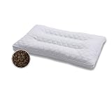Buckwheat Healthy Pillow W/double Zipper Cotton Ergonomic Cover 1-Piece Sham