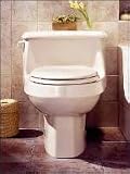 American Standard 2037.100 Lexington One Piece Elongated Toilet, Linen