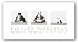 Fat Cat Capsizing by Richard Watherwax 21"x5.25" Art Print Poster