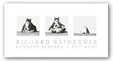 Fat Cat Capsizing by Richard Watherwax 21x5.25 Art Print Poster