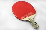 DHS Professional Quick-attack 4 Star L Series/L406 Table Tennis Racket-penhold