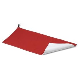 2 Red Hens Licorice Lounge Whole Roost bag with changing pad