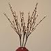 The Light Garden WLWB96 Electric/Corded Willow Branch with 96 Incandescent Lights, 40 Inch