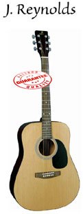 J REYNOLDS DREADNOUGHT GUITAR NATURAL JR65N