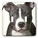 Dogs Pitbull - American Pit Bull Terrier Puppy - Light Switch Covers - double toggle switch