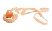 Apex Swimmers Nose Clip (Pack of 3)