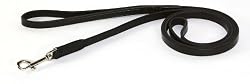 Hamilton Leather Dog Lead, Black, 6' x 1/2"