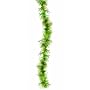 - SEAWEED BOA - Std