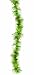 - SEAWEED BOA - Std 
