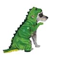 Halloween Dinosaur Costume Large
