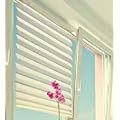 Faltrollo Plissee Jalousie Sonnenschutz creme 90 x 130 cm
