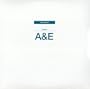 Songs in A & E [Vinyl]