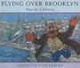 Flying Over Brooklyn