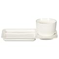 Soup and Sandwich Platter Set/2