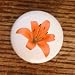 Search : FLOWERS KING LILY FLOWER DRAWER PULLS KNOBS