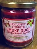 Odor Exterminator Candle Hot Apple Cobbler 13oz