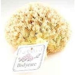 Earthline Delux Seawool Sponge 5 In #103 Loofah & Sea Sponges
