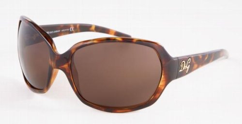 DOLCE & GABBANA D&G 8018 502/73 HAVANA PLASTIC SUNGLASSES
