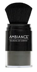 Ambiance Cosmetics Volumizing Dry Shampoo with Brush Applicator (Black)