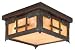 Asian Oak Knoll Outdoor Lighting BY Troy Lighting