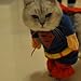Alfie Pet - Superhero Costume - Color: Blue, Red & Yellow, Size: M