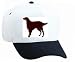 White Cap with dog, setter, gordon, pet, animal
