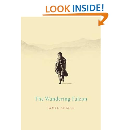 The Wandering Falcon