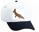 White Cap with Arabian, okenrav, zoo, nocturnal, captivity, mammal, fox, fenneken, African, animal, desert, fenec, dog, predator, canine, fennec