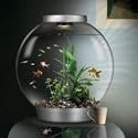 biOrb 60l Aquarium Silver inc. Halogen Light