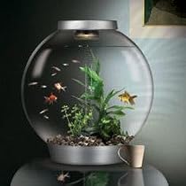 biOrb 60l Aquarium Silver inc. Halogen Light