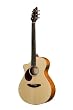 Breedlove Passport Plus C250/SB--Lefty Guitar
