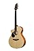 Breedlove Passport Plus C250/SB--Lefty Guitar
