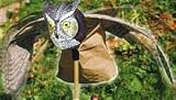 Bird-X - OWL - Prowler Owl Fake Owl Bird Scaring Deturrent - Tan Spotted - Adult Owl