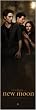 The Twilight Saga: New Moon - Door Movie Poster (Size: 21" x 62")