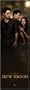 The Twilight Saga: New Moon - Door Movie Poster (Size: 21" x 62")