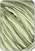 Crystal Palace - Panda Silk DK Knitting Yarn - Fern Tones (# 8005)