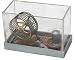 Dollhouse Miniature Pet Mice in Open Cage