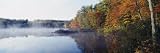 Deciduous Trees Along the Chocorua Lake, White Mountains National Forest, New Hampshire, USA Artists Photographic Poster Print by Panoramic Images , 32x96 31gufJXBE7L. SL160 Deciduous Trees Along the Chocorua Lake, White Mountains National Forest, New Hampshire, USA Artists Photographic Poster Print by Panoramic Images , 32x96