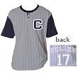 Cullen 17 Pinstripe Baseball Jersey Adult Sizes Grey & Navy