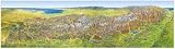 Das Große Alpen-Panorama Sommer 1-seitig, plano 214,5 x 60,6 cm
