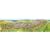 Das Gro�e Alpen-Panorama Sommer 1-seitig, plano 214,5 x 60,6 cm