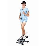 FlagHouse Mini Stepper w/ Built-in Computer