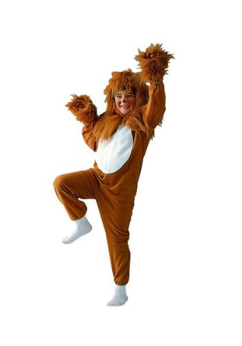 Lion Child Costume